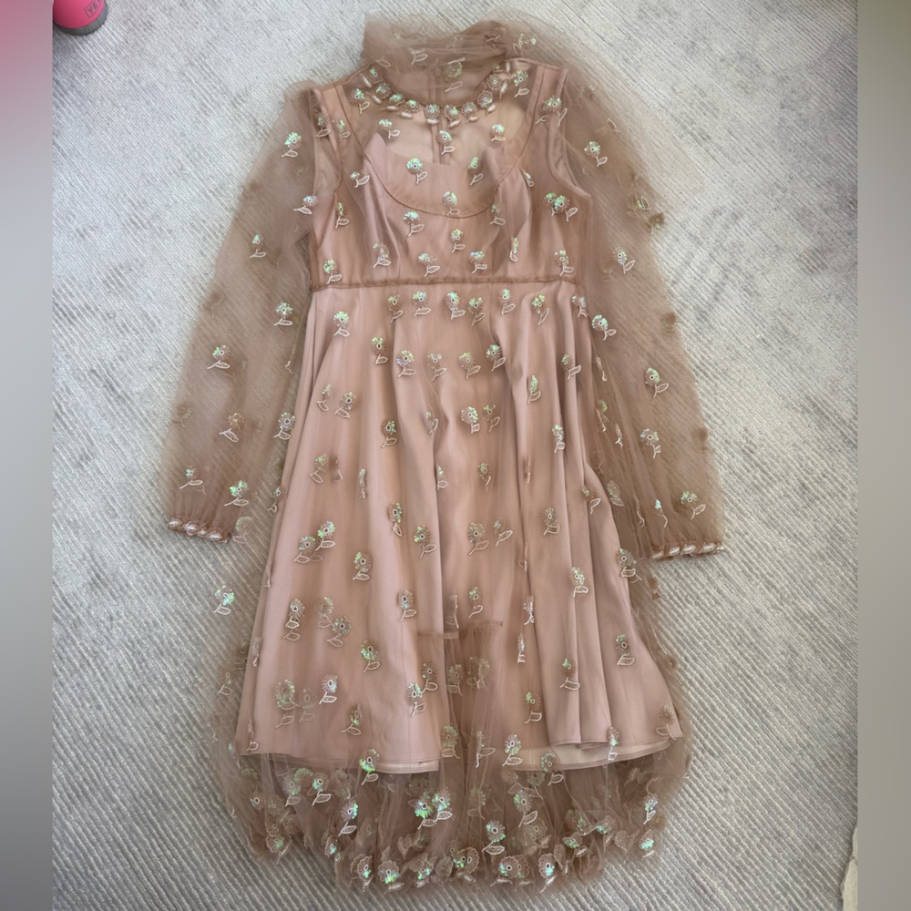 Valentino Embroidered Blush Pink Tulle Dress